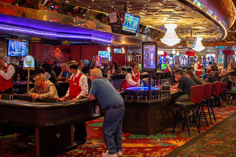 experimente este site