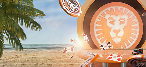 casino Dolphins Pearl